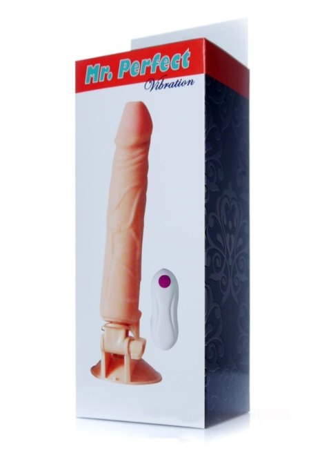 B - Series EasyLove Wibrator-Mr. Perfect Vibration 12 functions