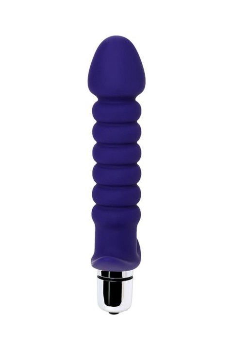 ToDo Condal Violet Anal Vibrator