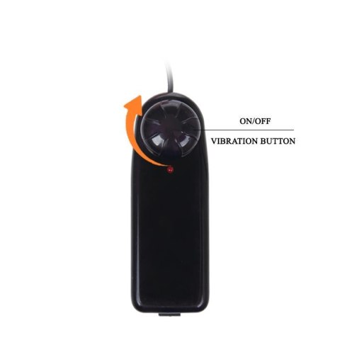 BAILE - The Big Penis, Vibration, Suction base