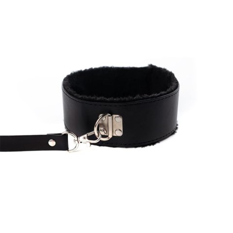Collar with detachable leash