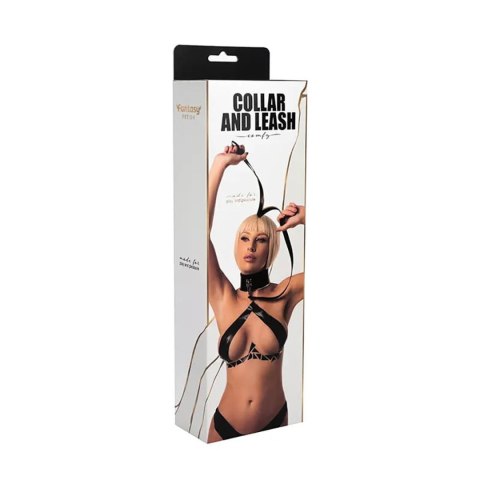 Collar with detachable leash