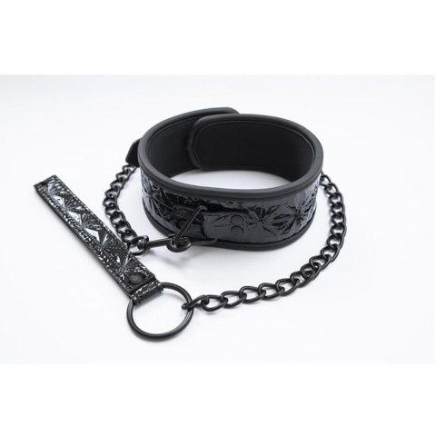 Collar with detachable leash