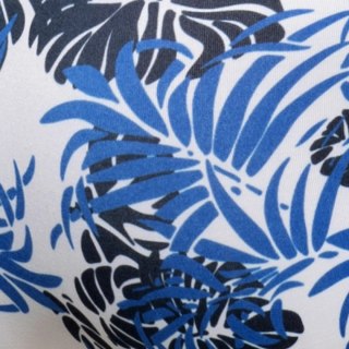 Addicted Kąpielówki męskie Tropicana niebieskie W