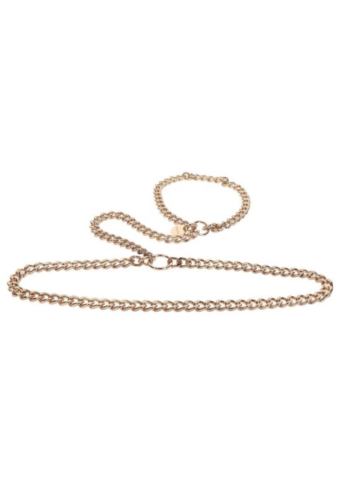 Statement Harness