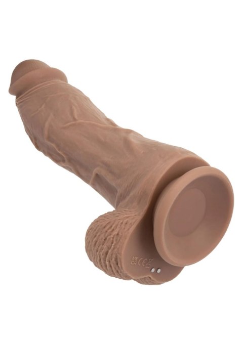 Big Dick Vibrating Energy Studs - Brown